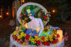 Photos by Michael Troutman (137/365)